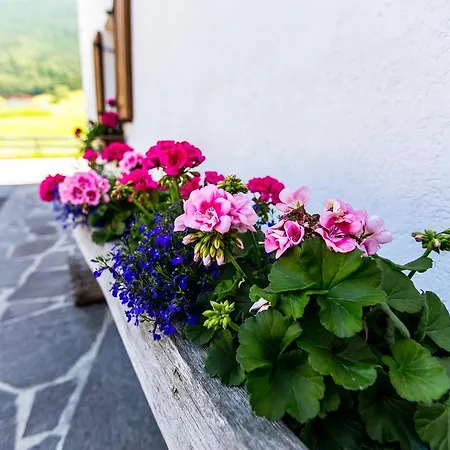 Daire Kindl Manuela *