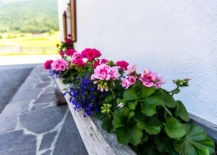 Daire Kindl Manuela *